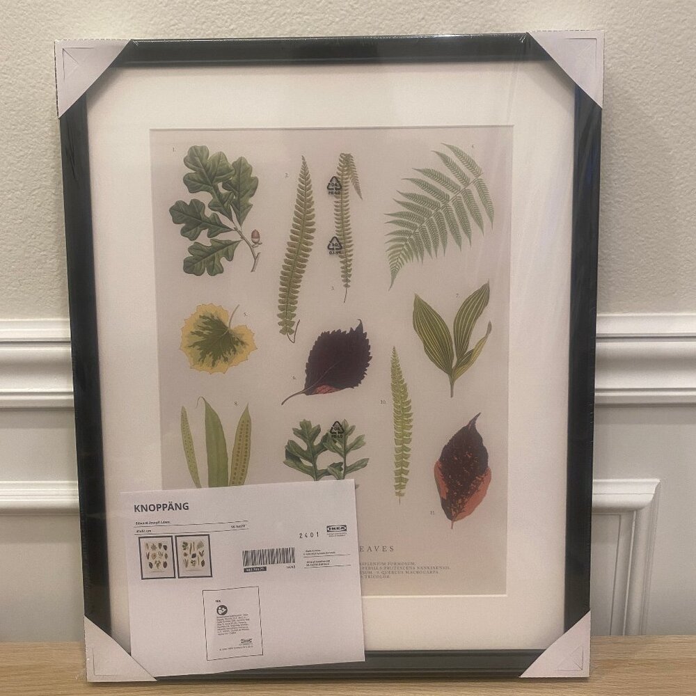 New ! 2 Pack - IKEA KNOPPÄNG Frame w/Poster Leaves Tropical 16 ¼x20" 605.704.79